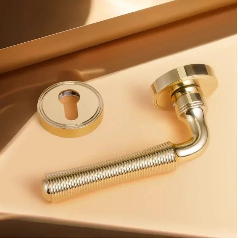 Poignée de Porte Intérieure Dorée en Alliage de Zinc | Style  Élégant